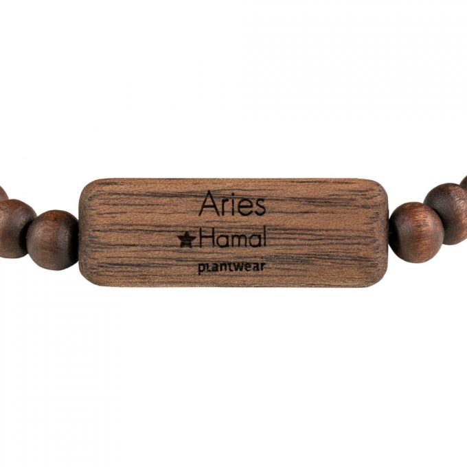 zodiac bracelet aries