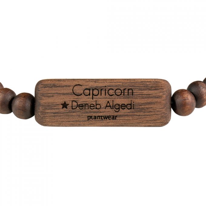 zodiac bracelet capricorn