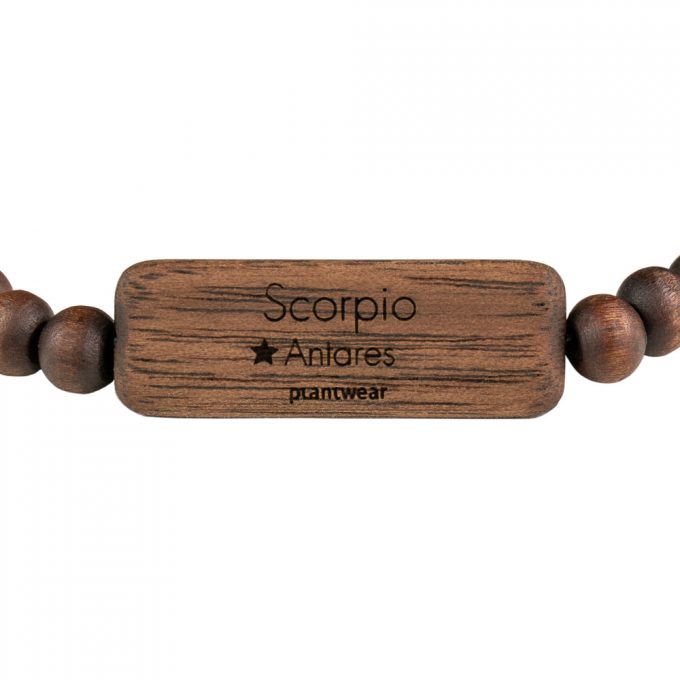 zodiac bracelet scorpio