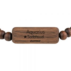zodiac bracelet aquarius